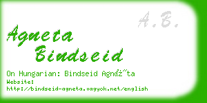 agneta bindseid business card